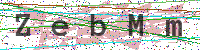 Enter Security Code