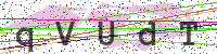 Enter Security Code