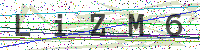 Enter Security Code