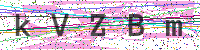 Enter Security Code