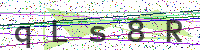 Enter Security Code