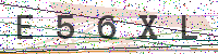 Enter Security Code