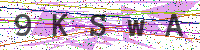 Sicherheitscode eingeben