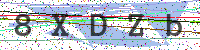 Sicherheitscode eingeben