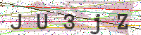 Enter Security Code