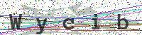 Sicherheitscode eingeben