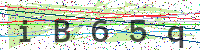 Sicherheitscode eingeben