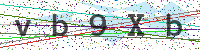 Enter Security Code