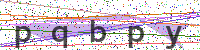 Sicherheitscode eingeben