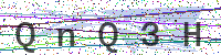 Enter Security Code