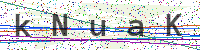 Enter Security Code