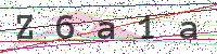 Sicherheitscode eingeben