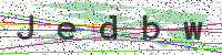 Enter Security Code