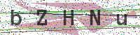 Enter Security Code
