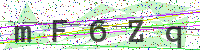 Enter Security Code