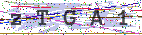 Enter Security Code