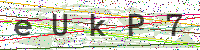 Sicherheitscode eingeben