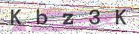 Enter Security Code