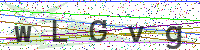 Enter Security Code
