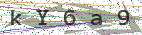 Enter Security Code