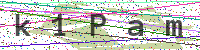 Sicherheitscode eingeben