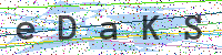 Sicherheitscode eingeben