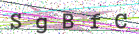 Enter Security Code