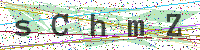 Sicherheitscode eingeben