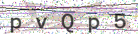 Enter Security Code