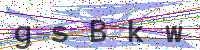 Enter Security Code