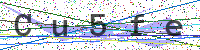 Enter Security Code