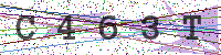 Enter Security Code