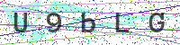 Enter Security Code