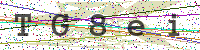 Enter Security Code