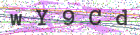 Enter Security Code