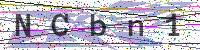 Sicherheitscode eingeben