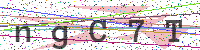 Enter Security Code