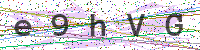Enter Security Code