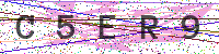 Enter Security Code