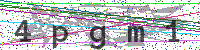 Sicherheitscode eingeben
