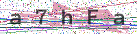 Enter Security Code