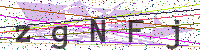 Enter Security Code