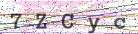 Enter Security Code