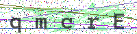 Enter Security Code