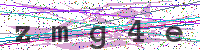 Enter Security Code