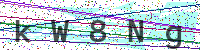 Enter Security Code