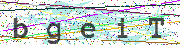Enter Security Code