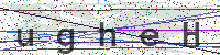 Sicherheitscode eingeben