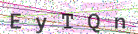 Enter Security Code