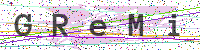 Enter Security Code